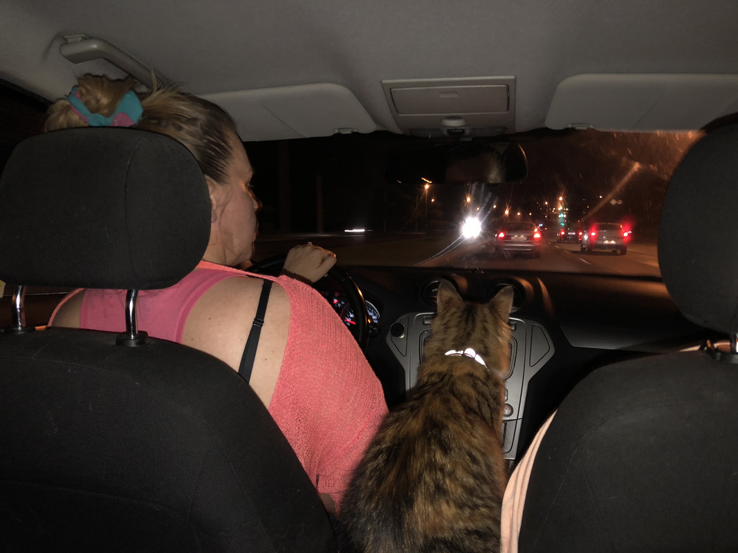 643D1961-A5A4-436F-BDAF-1F74B9B0DF39