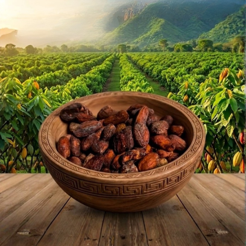 Cacao en Pepa Beniano