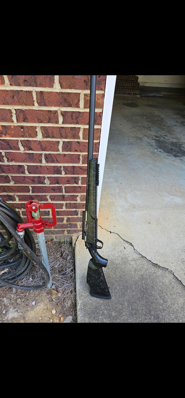 Screenshot_20241107_103240_Photos