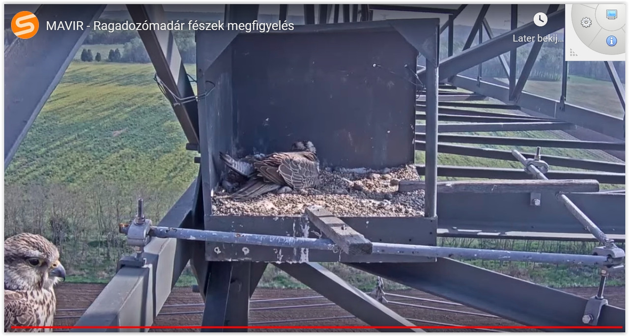 Screen Shot 04-30-22 at 09.06 AM