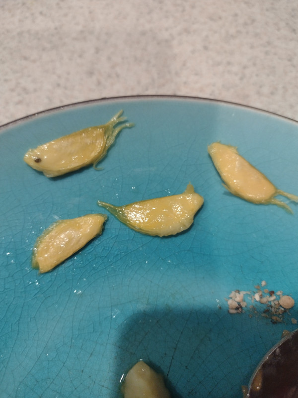 IMG_20231012_072940530