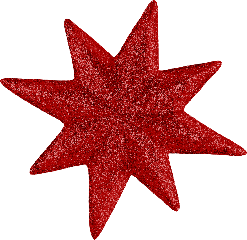 Christmasswishoffairydnstars2