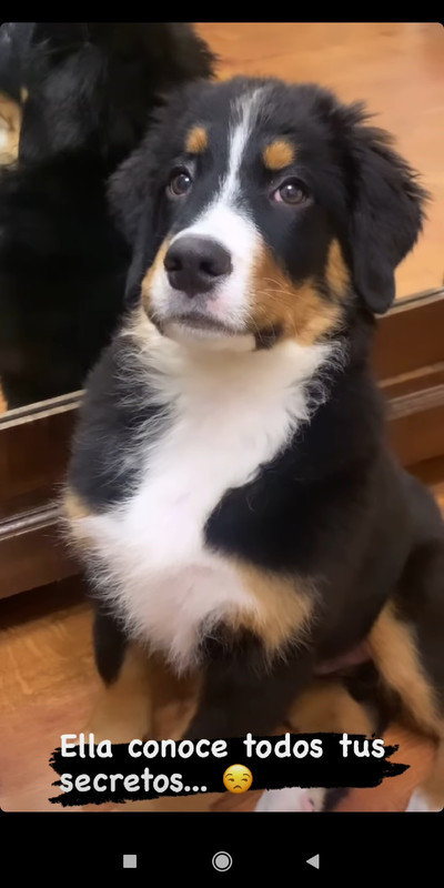 Screenshot_2020-12-26-21-58-17-955_com.instagram.android