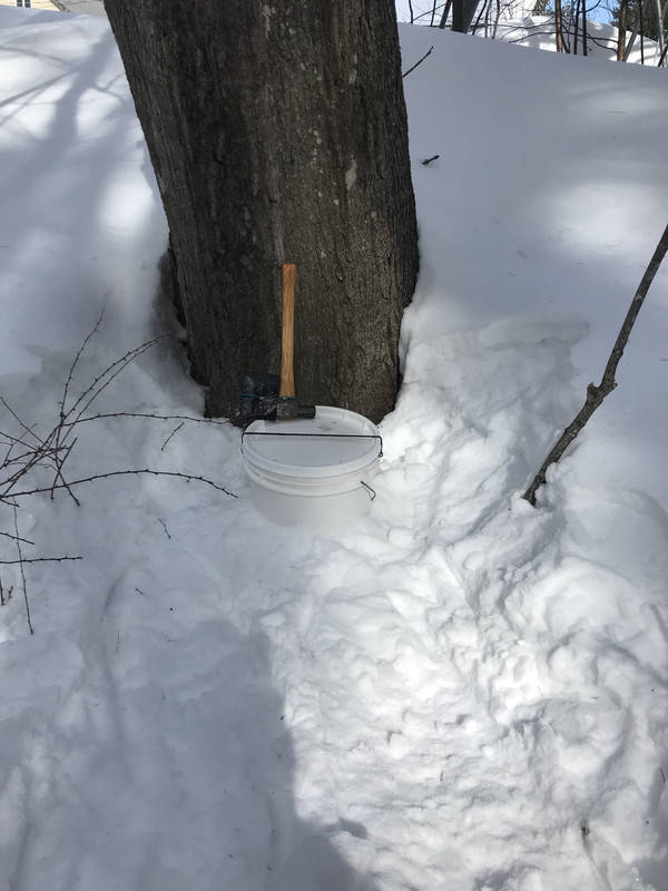 22DB44EC-78B9-4B43-901A-E17296C38D41