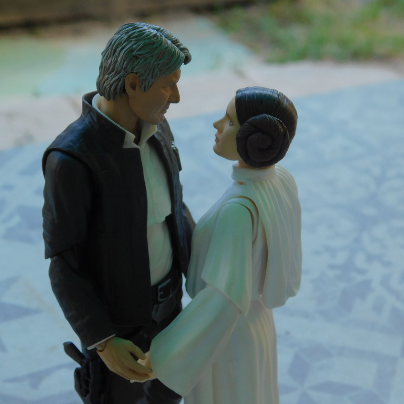 Дачно-Харлинский июнь-июль 2024 250