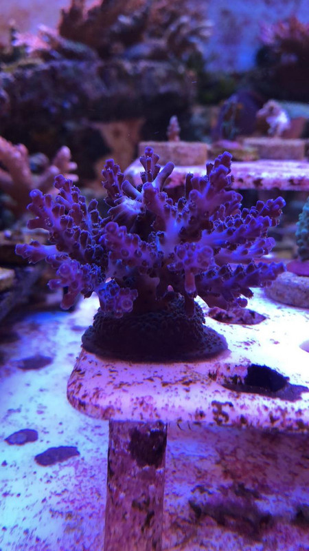 F30757A9-39D7-4FB8-B175-E1F555050921