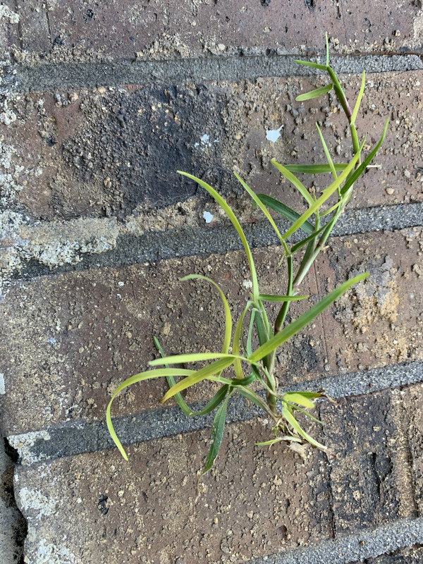 240BB5BC-631E-4B59-B33E-55C0B9A7CBA2