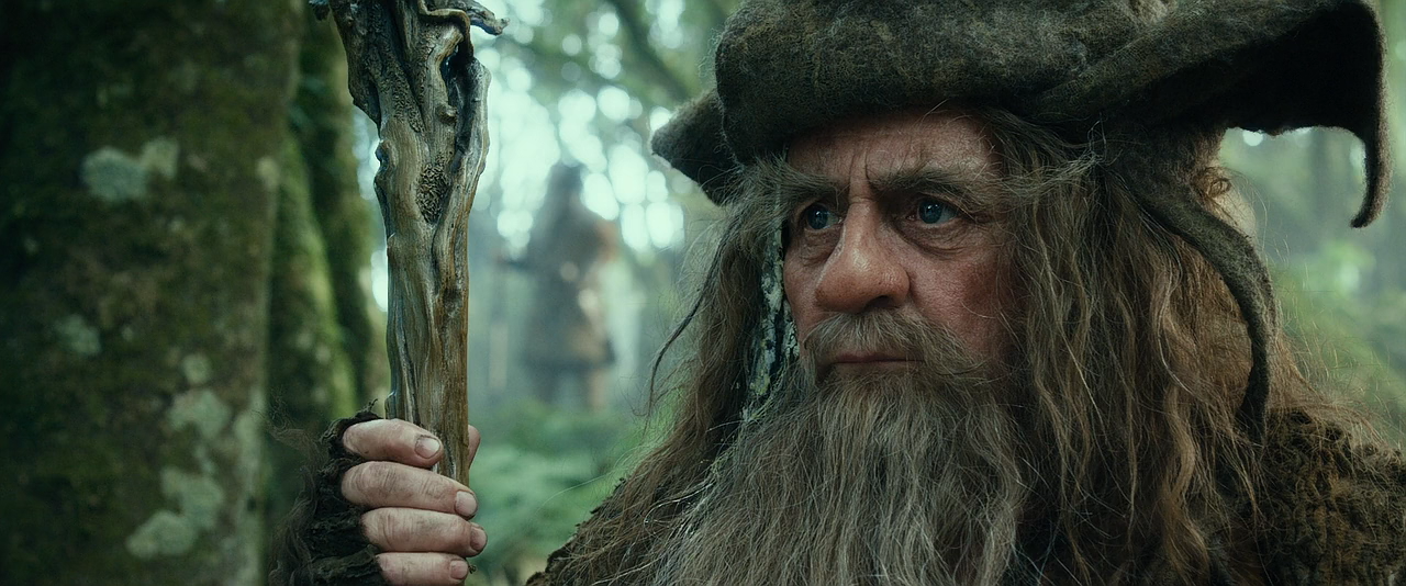 The Hobbit An Unexpected Journey.2012.720p.BluRay.x264-LEONARDO.mkv - 01.13.48.215