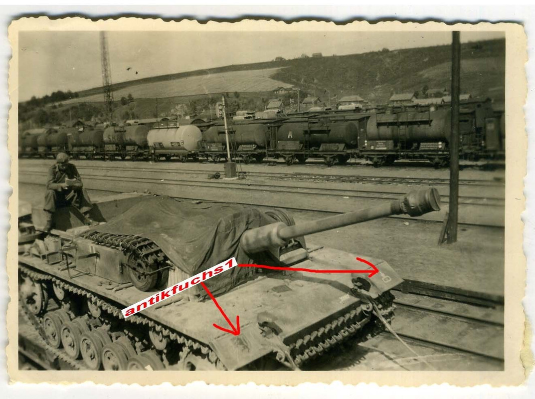 Panzer Sturmgeschütz Lang mit Divisions-Wappen