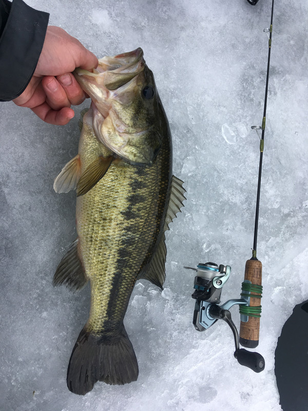 BDB12B35-1627-49F5-8D61-9DB93FA13C9F