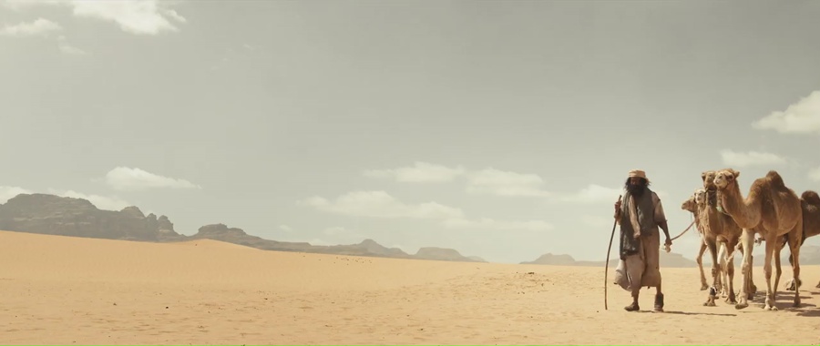 The Goat Life 2024 WebRip [Hindi + Tamil + Telugu + Malayalam + Kannada] 480p, 720p, 1080p ESub Screenshot