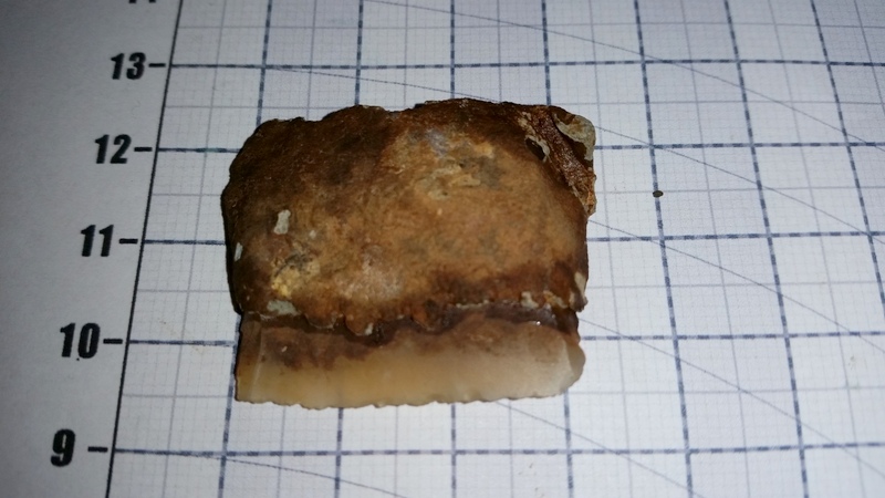 20141010_102241 (1)