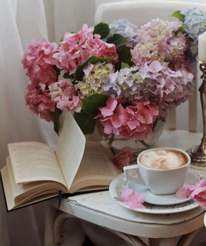 Screenshot_20230129_233406_Chrome