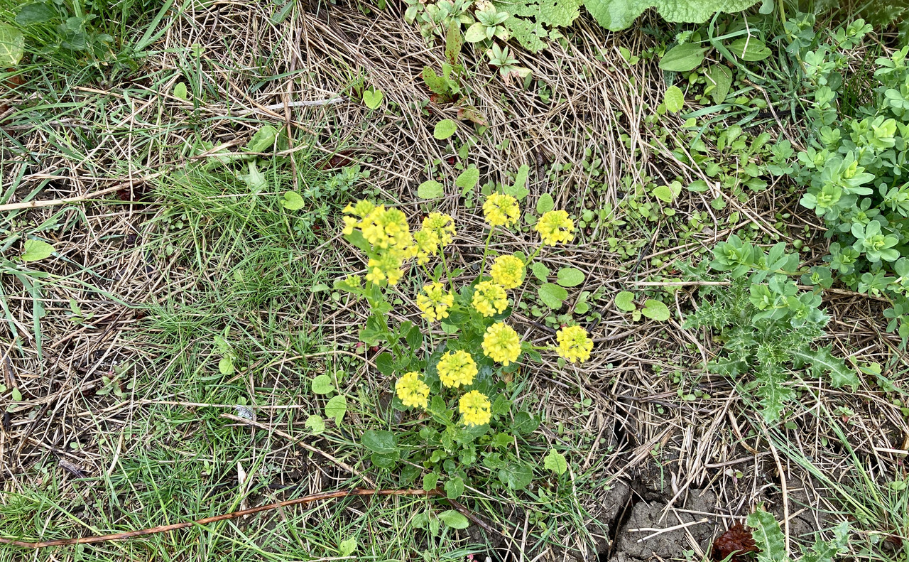 B4996E84-4127-43AE-94D1-5604931400E8