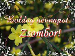 https://i.postimg.cc/MTFVMSZ8/zsombornapra-2022-11-08.jpg
