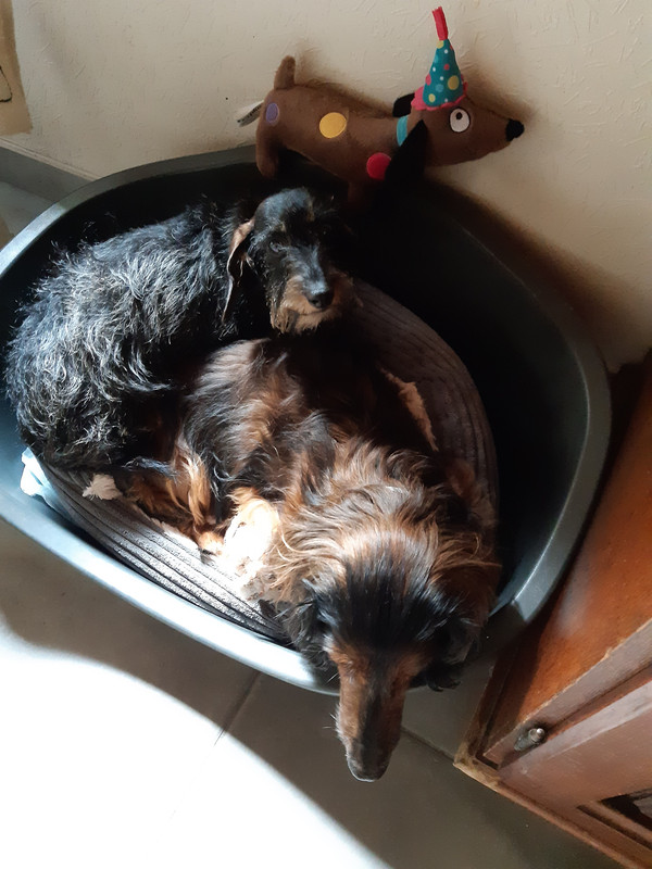 [Image: 20230723-113025.jpg]