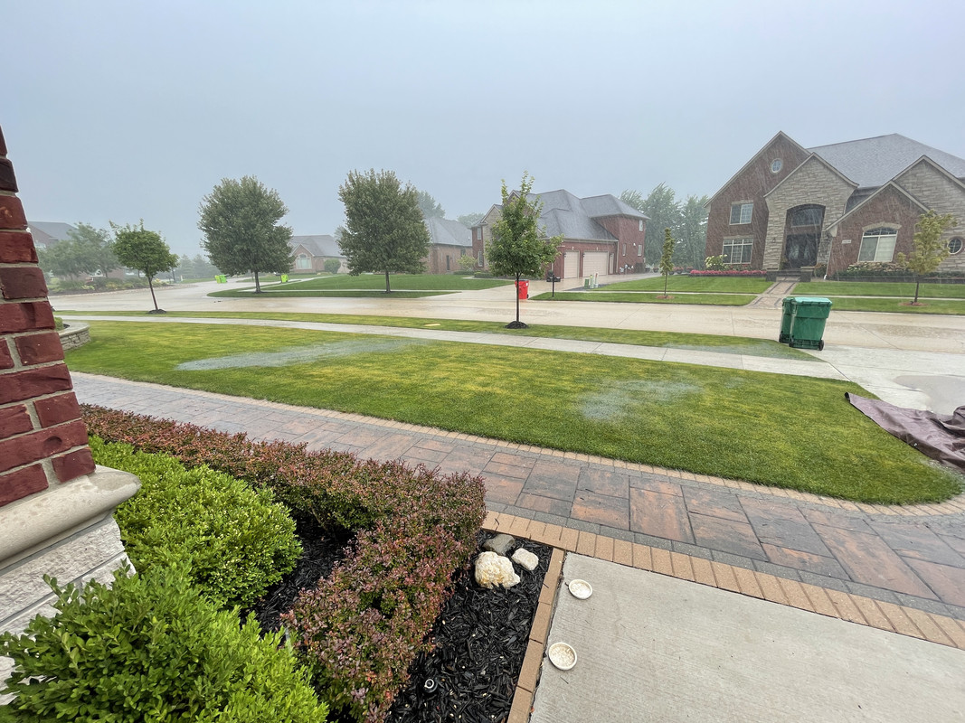 301ABF25-4415-4BB8-9317-3533FBFD815D