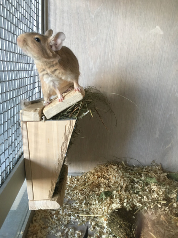 4D140CE9-5E20-449D-952D-7628A5DF90E9