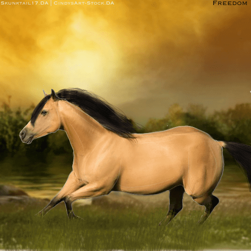 27A388E7-5459-403C-9AE3-BE22F7A8A340