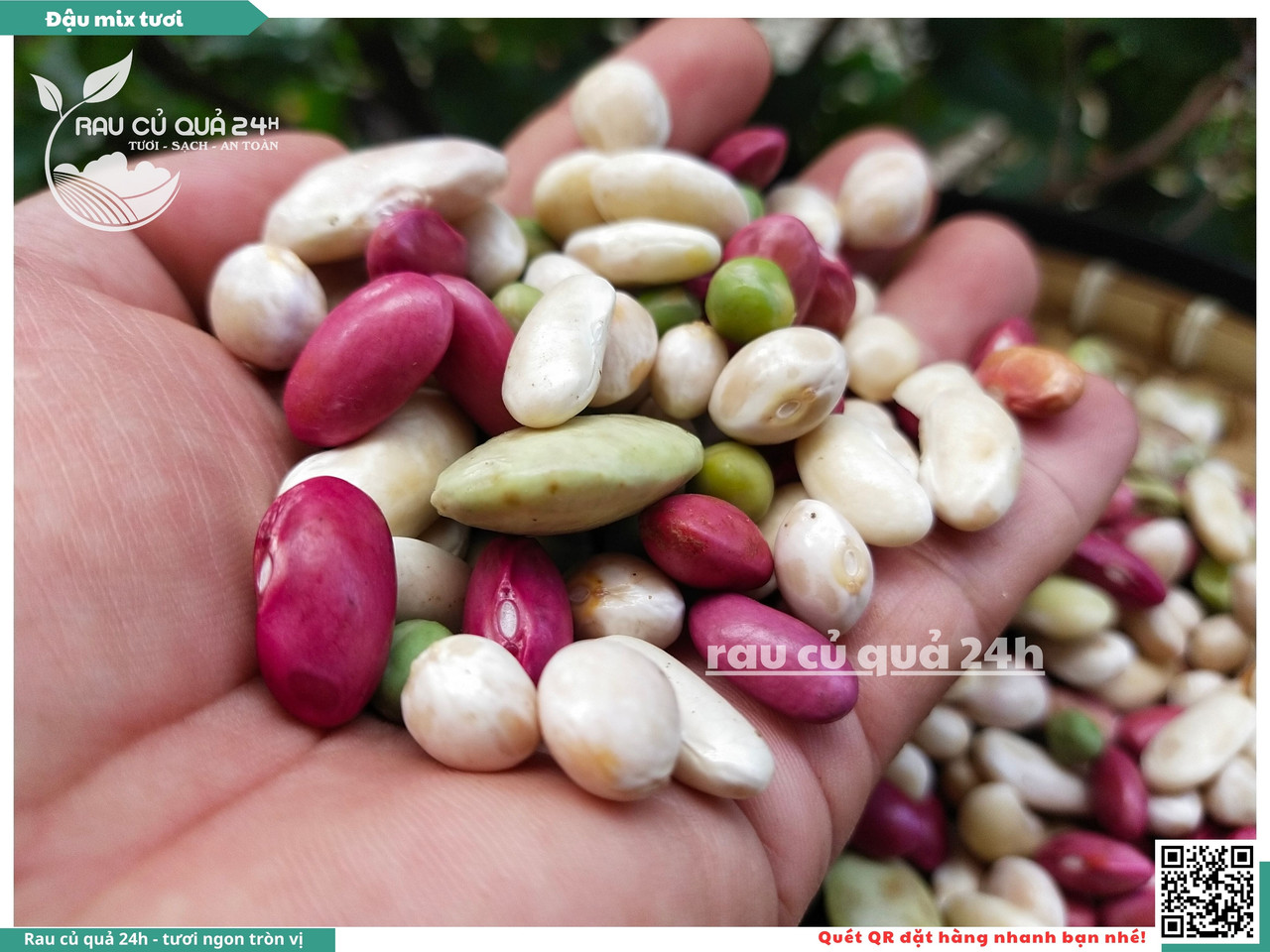 Đậu Mix Tươi 6