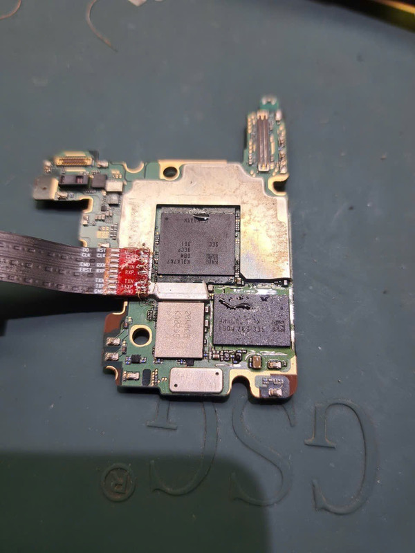 photo 2026 01 23 12 59 18