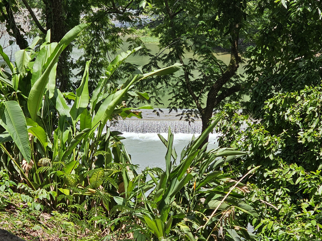 Image 29