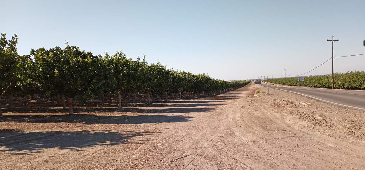 [Image: Central-Valley2.png]