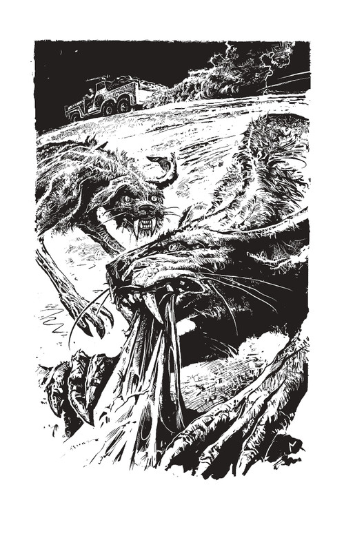 ZL-Ishod-page-0002