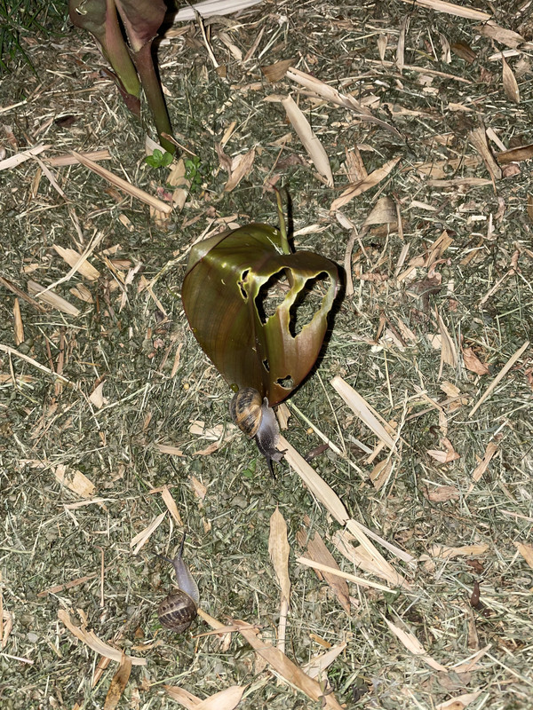 AF82CA66-6867-476B-BCA6-0DF6E7AEB0C7