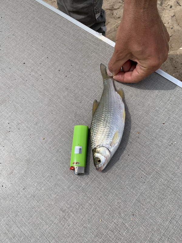 8511D01C-89BF-446D-AAC3-F125724A4ACD