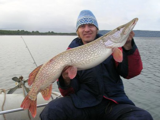 Жуков Альберт джиг спиннинг рыбалка приманка для джига видео джиг головка black hole блесна воблер к