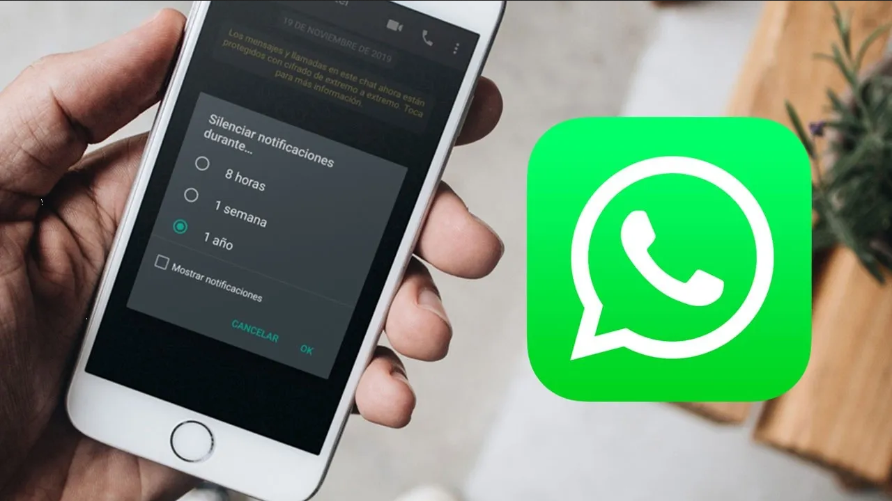 ¿Te silenciaron en WhatsApp? ¡No te preocupes, descubre cómo saberlo!