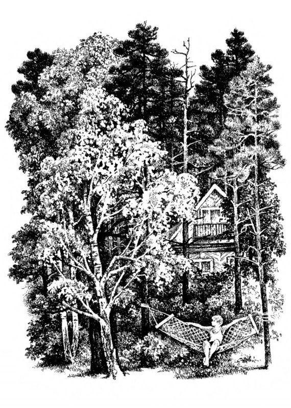 Belozerov-Timofej-Smorodinovyj-kust-1977-page-0014