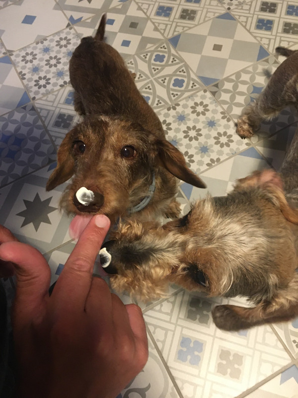 [Image: 0-CDDCCB5-A89-A-4131-BCAF-072-E9479354-B.jpg]