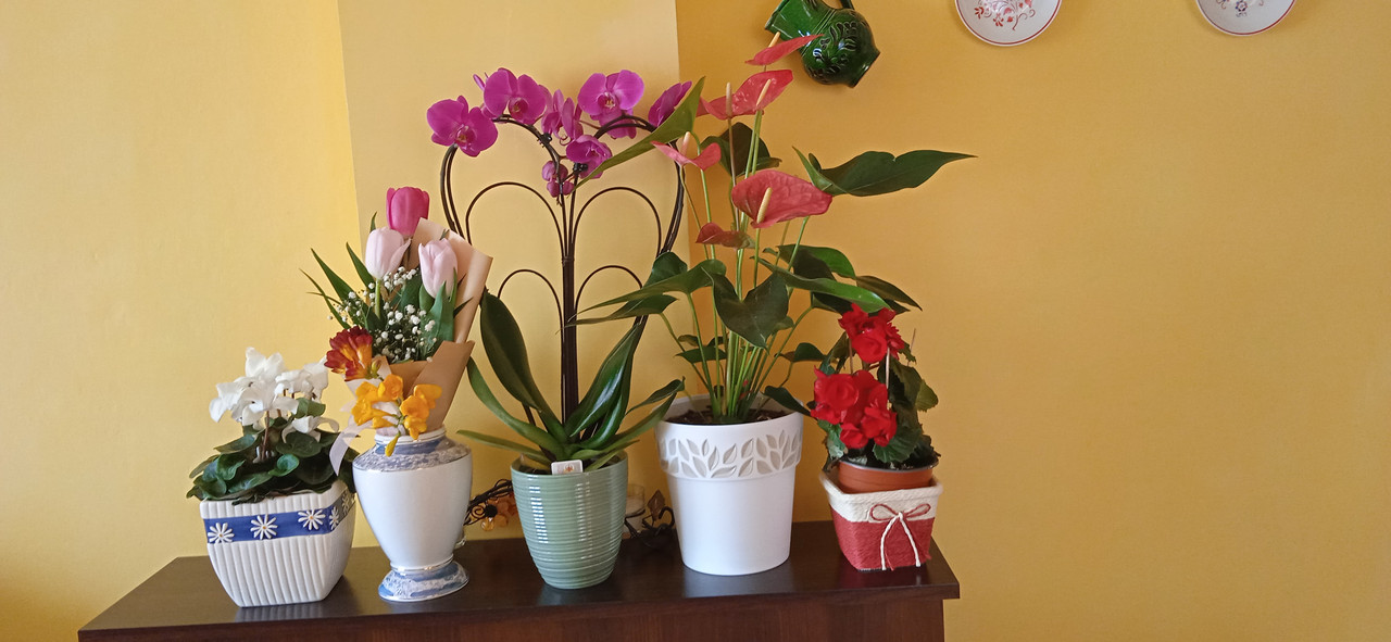 IMG_20240319_105722[1]