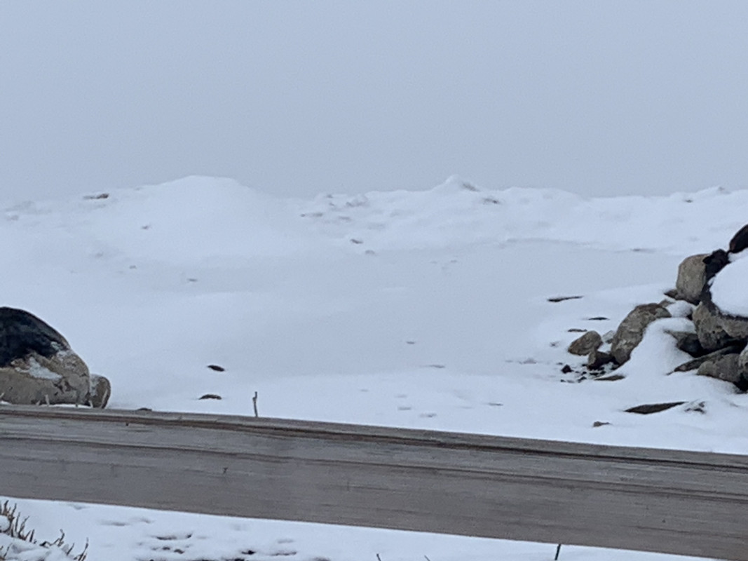 AFF1FA4B-A9BB-4882-8980-AC2332FEBBDF