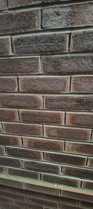 Whats App Image 2026 01 17 at 3 32 33 PM