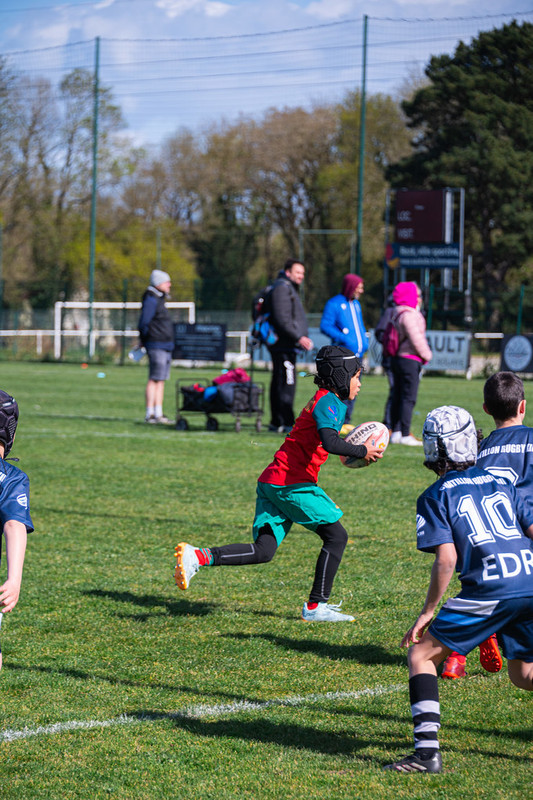 tournoi-de-latlantique-2026-adonis-griffon-170-55181453288-l