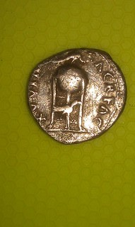 IMAG1460