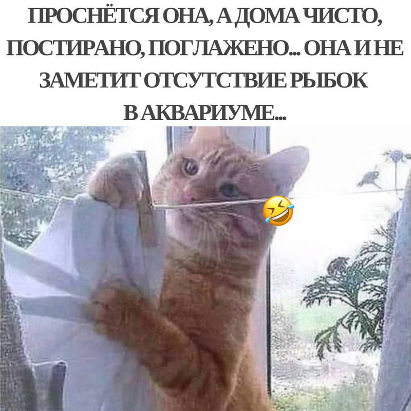 006-1.jpg