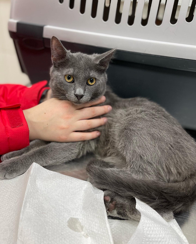 DAA16649-CED0-49C4-9281-F75D18B6AEB3