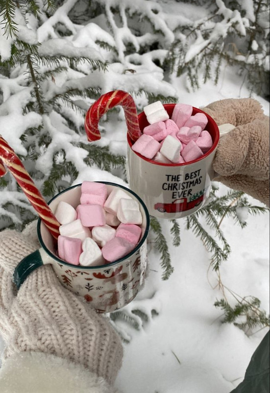 Screenshot_20231111_145536_Pinterest