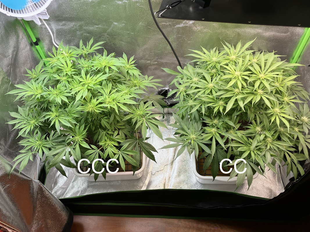 2B267C80-B2DB-4936-B843-48D460D6CBC4