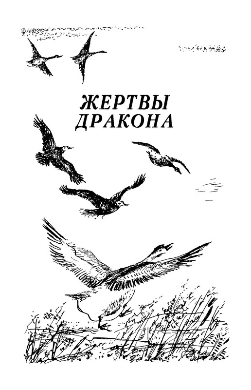 p0005