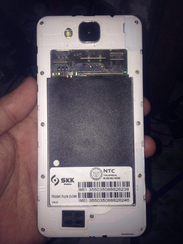 41615297_2203138909975058_7885349609432678400_n