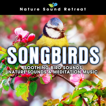 Nature Sound Retreat - Songbirds: Soothing Bird Sounds - Nature Sounds & Meditation Music (2020) flac, Hi-Res