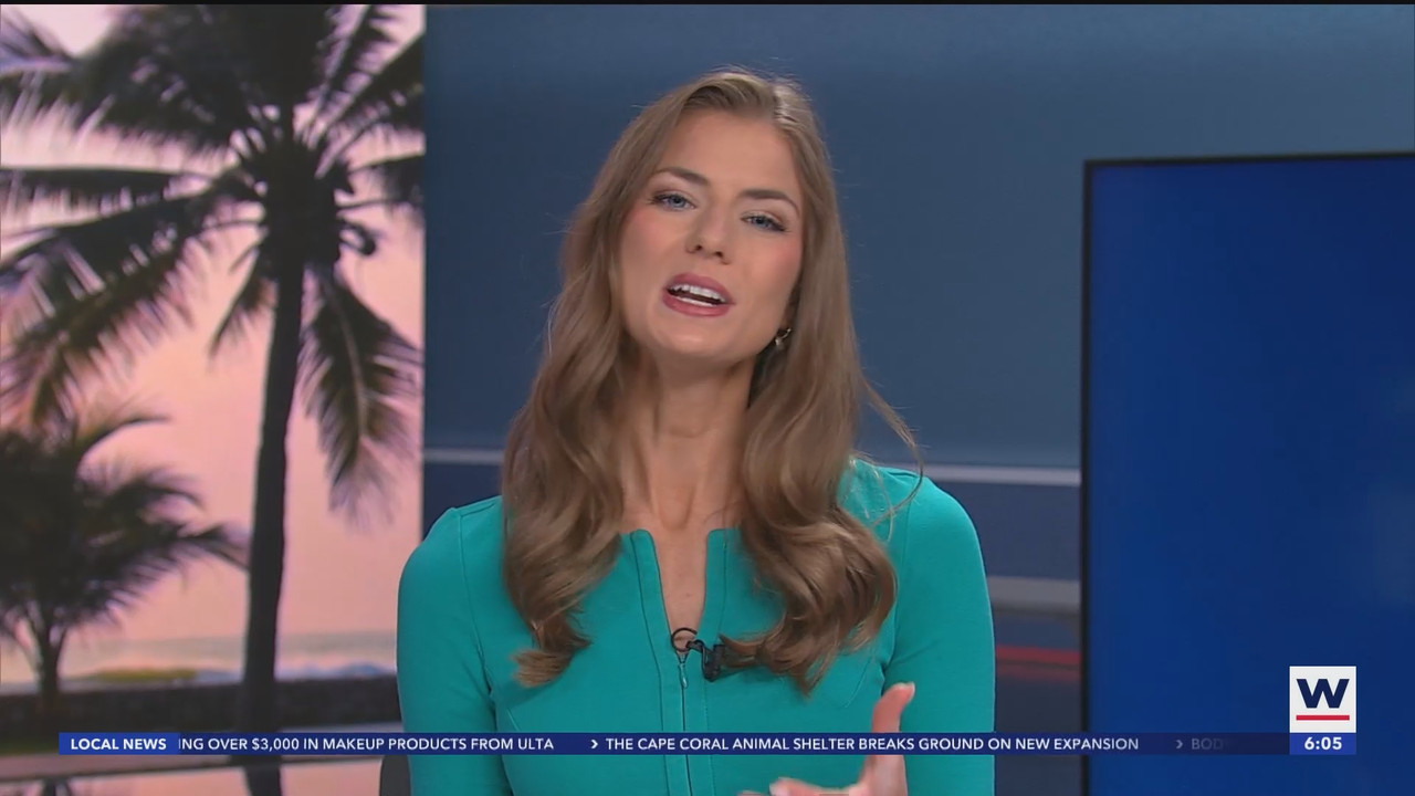 WINK News at 600am_20250227_11001130.ts_snapshot_06.22.937