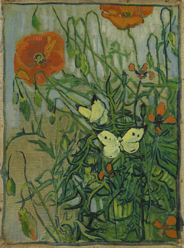 Siempre Libre & Glitters y Gifs Animados Nº367 - Página 44 Vincent-van-Gogh-Butterflies-and-Poppies-Van-Gogh-Museum