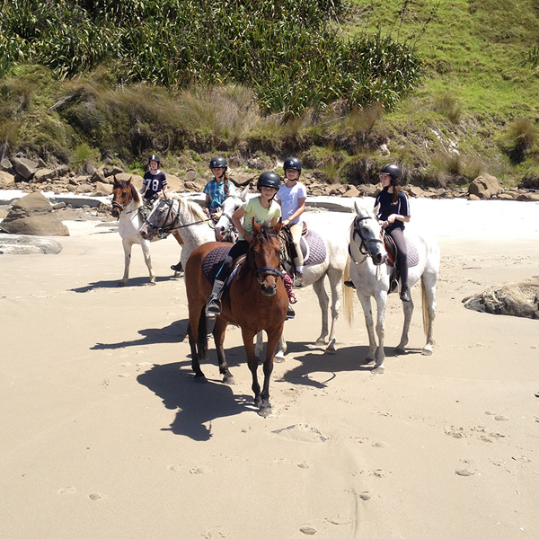 Pakiri Beach