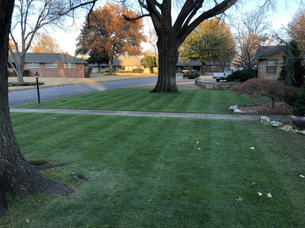 7A541ABA-0363-49EB-B97E-4B9A643D8304